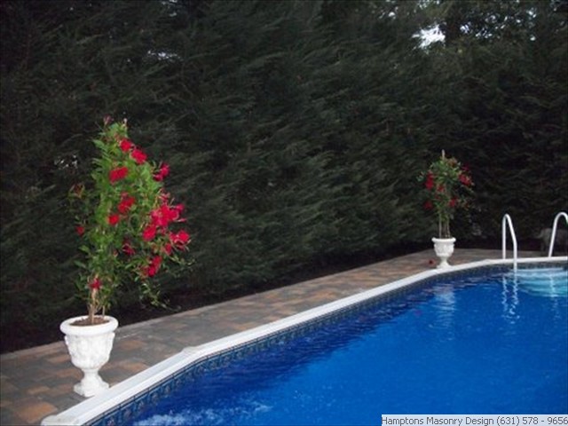 Pool Patio with Privacy Plantings 3 of 4